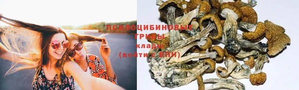 трава Костерёво