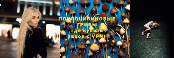 jwh Краснослободск