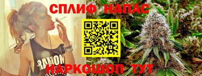 шишки Канаш