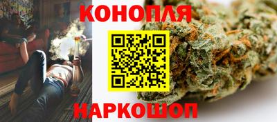 шишки Канаш