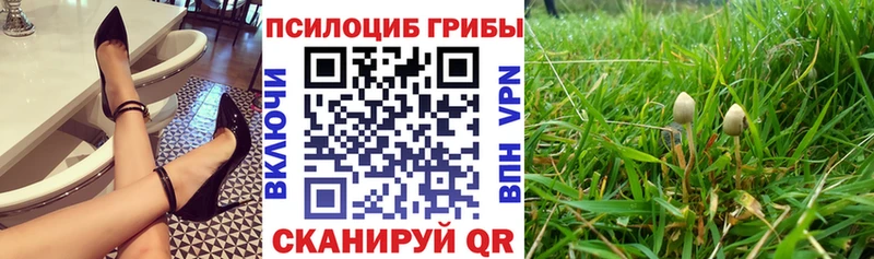 где купить наркоту  omg ссылка  Псилоцибиновые грибы GOLDEN TEACHER  Муром 
