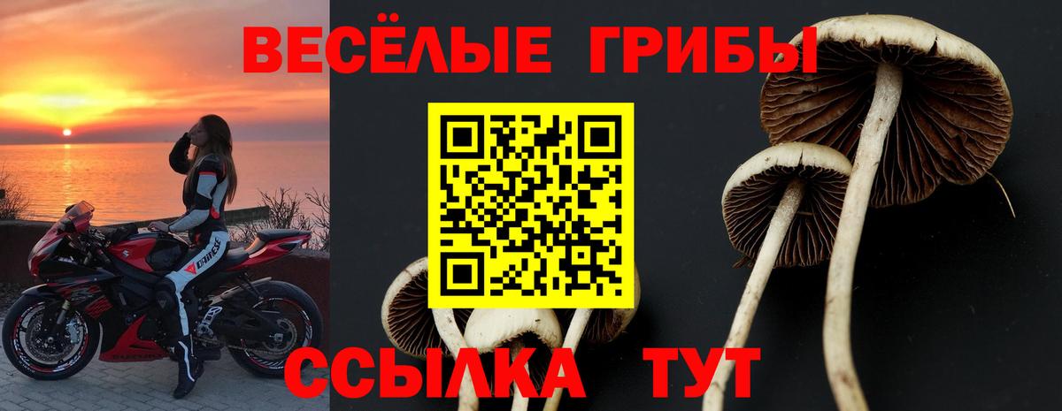 Галлюциногенные грибы мухоморы  Псилоцибиновые грибы Psilocybine cubensis  сколько стоит  Муром  Вход с VPN 
